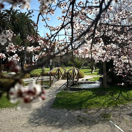 Appartamenti La Barchetta San Benedetto del Tronto Zewnętrze zdjęcie