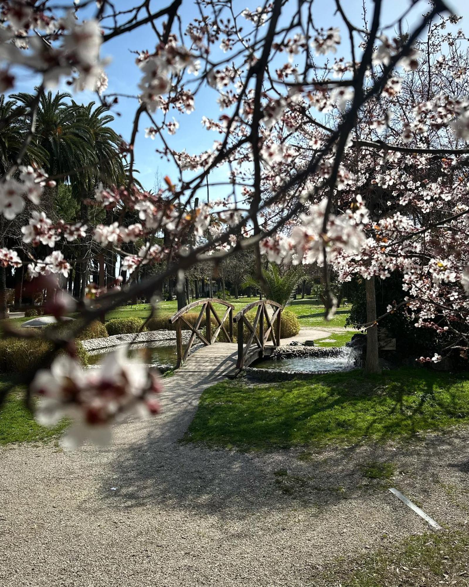 Appartamenti La Barchetta San Benedetto del Tronto Zewnętrze zdjęcie