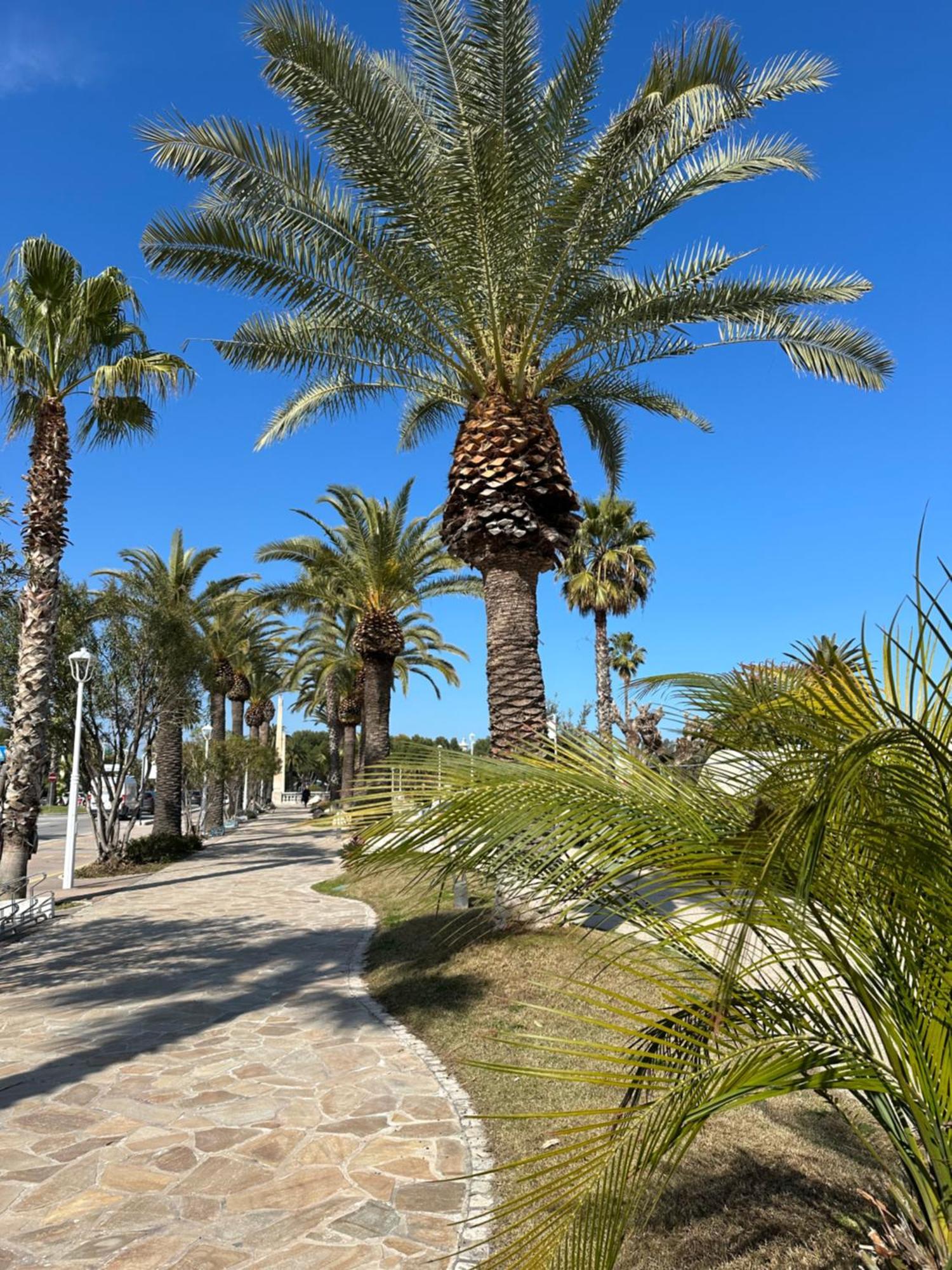 Appartamenti La Barchetta San Benedetto del Tronto Zewnętrze zdjęcie